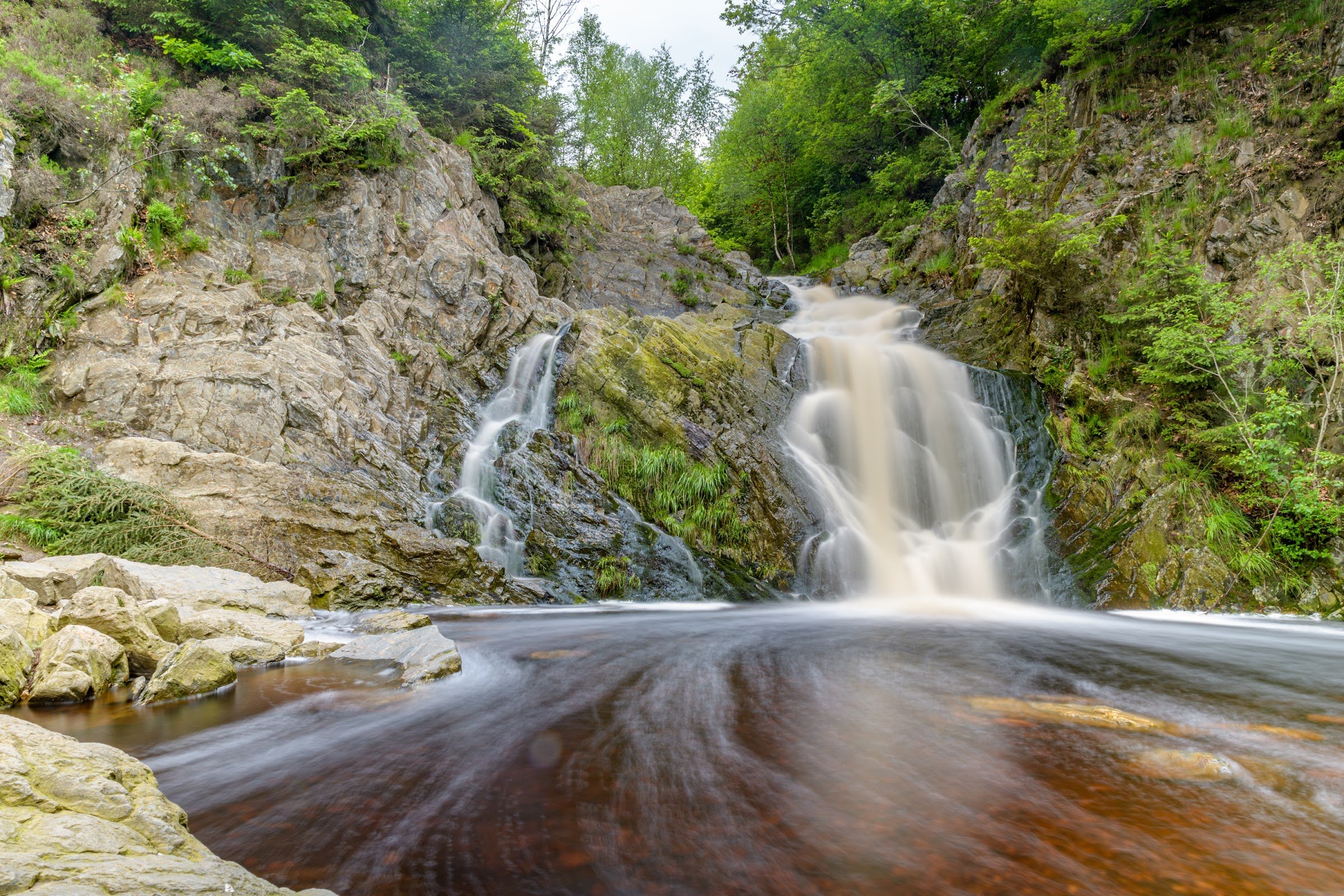 High Fens - Signal de Botrange (High Fens–Eifel Nature Park)